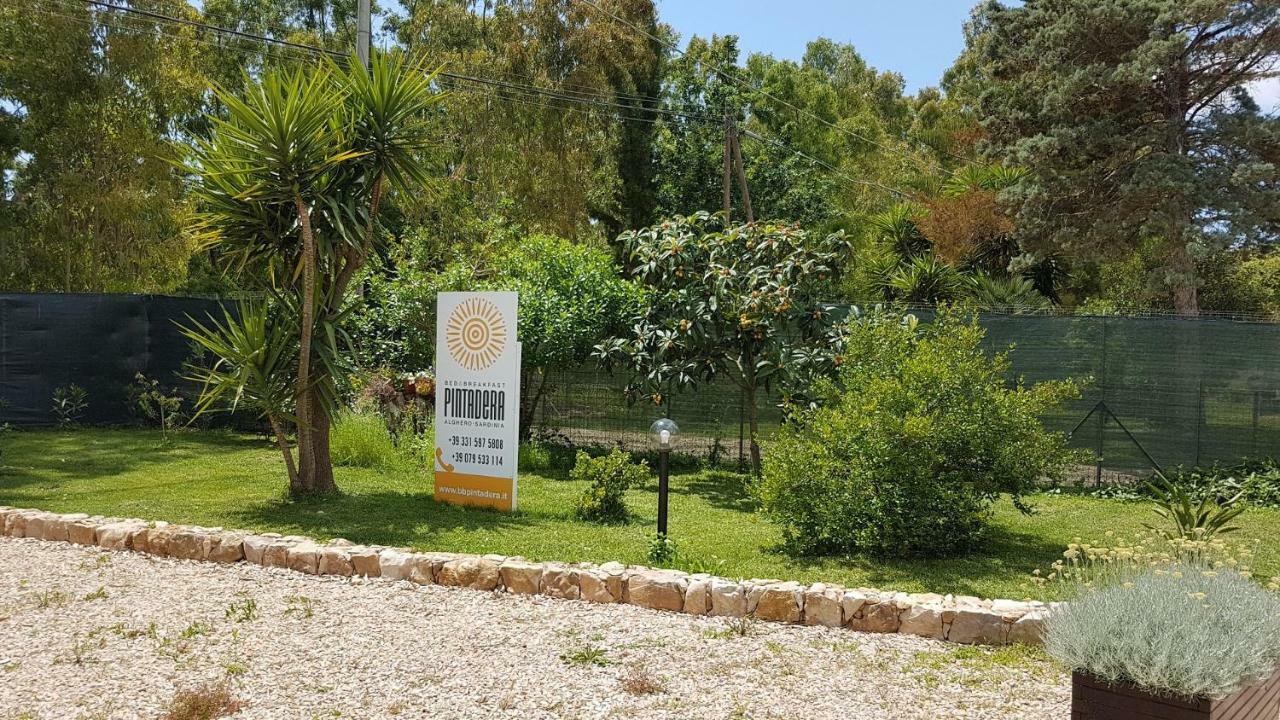 Guesthouse Pintadera Santa Maria la Palma Εξωτερικό φωτογραφία