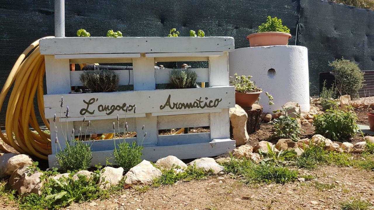 Guesthouse Pintadera Santa Maria la Palma Εξωτερικό φωτογραφία